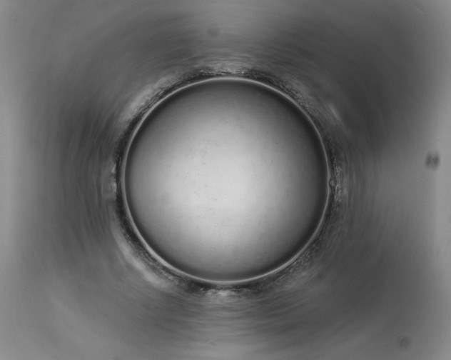 X0000114000634200910021317