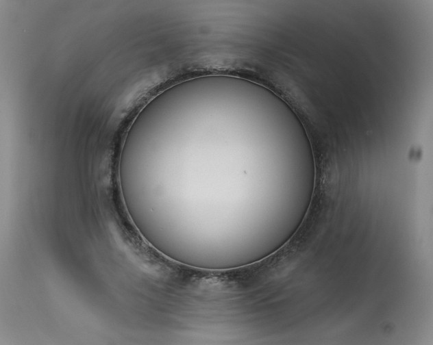 X0000114000635200910021317