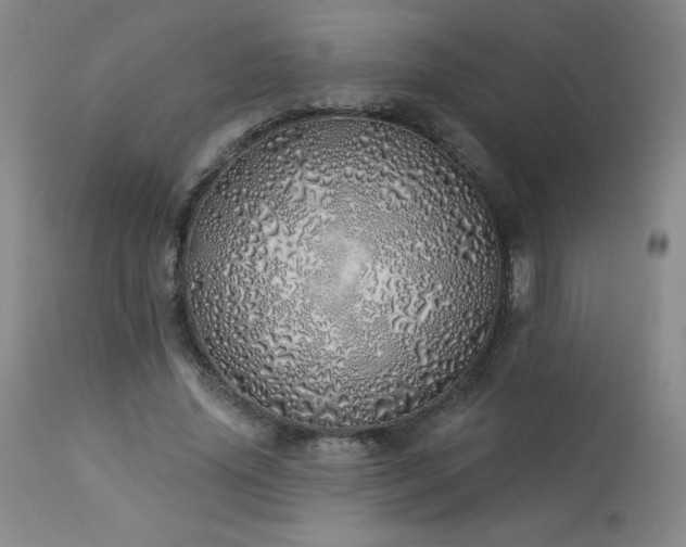 X0000114000636200910021317