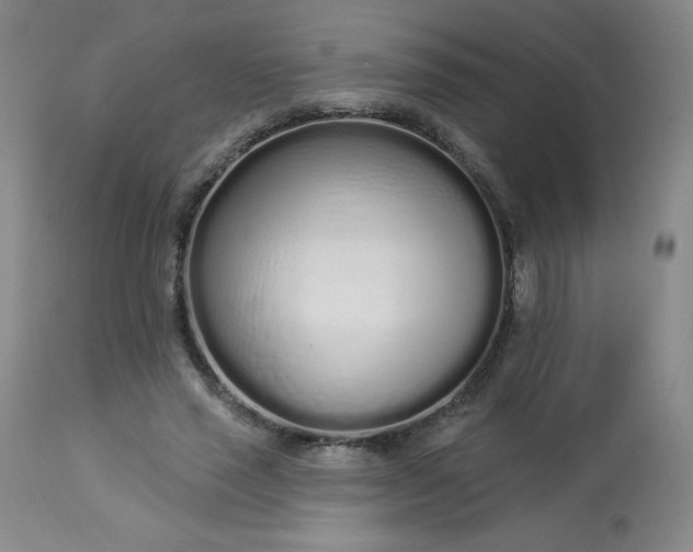 X0000114000637200910021317