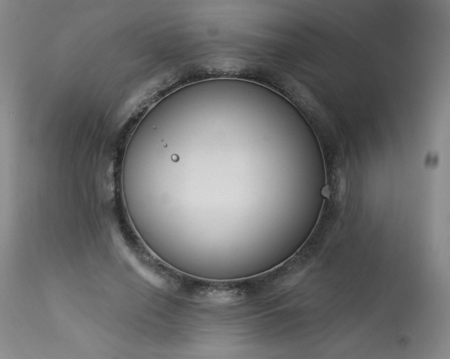 X0000114000638200910021317
