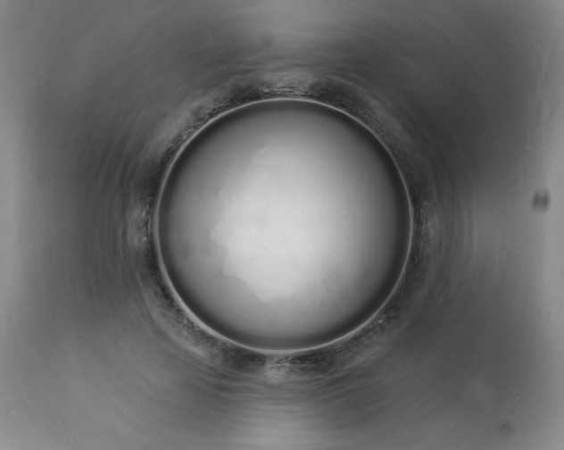 X0000114000641200910021317