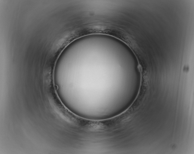 X0000114000642200910021317