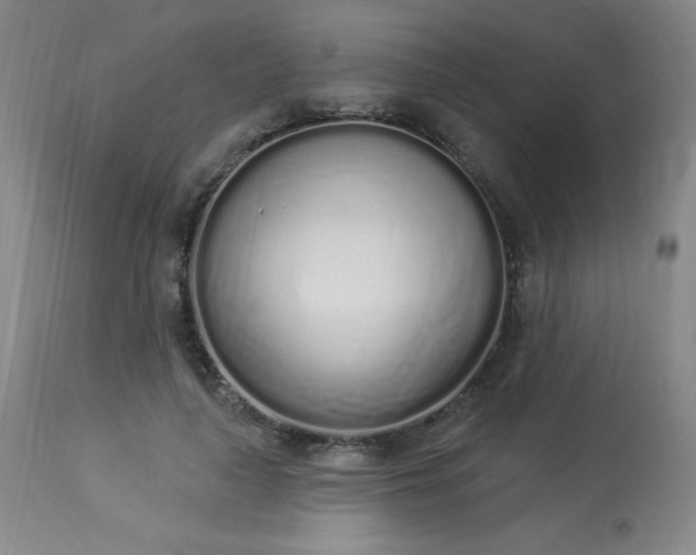 X0000114000643200910021317