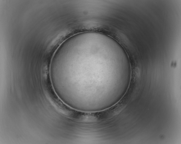 X0000114000644200910021317