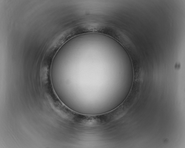 X0000114000646200910021317