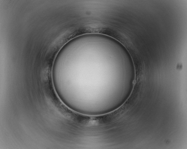 X0000114000647200910021317