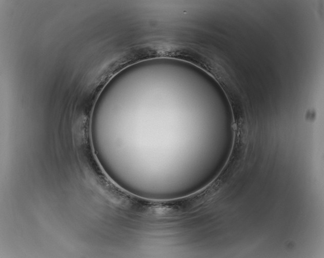 X0000114000650200910021317