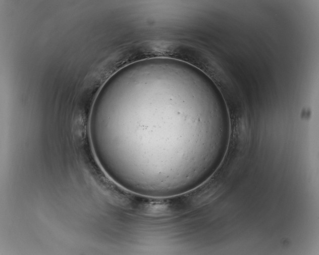 X0000114000651200910021317