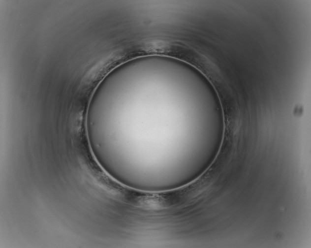 X0000114000652200910021317