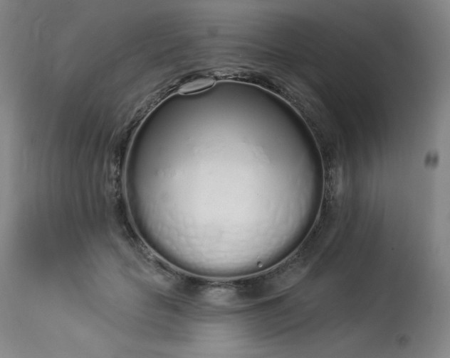 X0000114000653200910021317