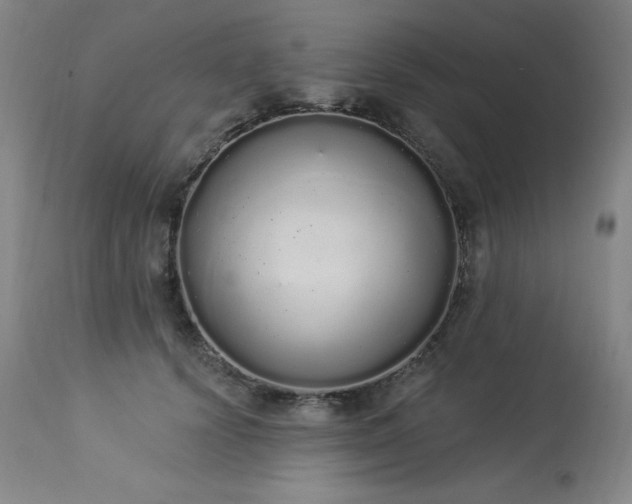 X0000114000656200910021317