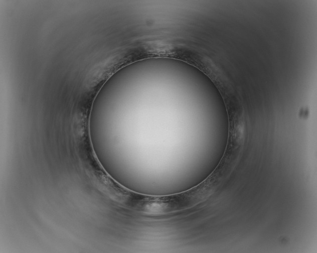X0000114000658200910021317