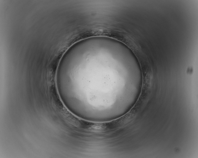 X0000114000659200910021317