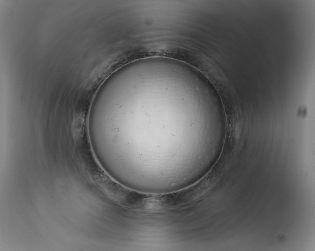 X0000114000660200910021317