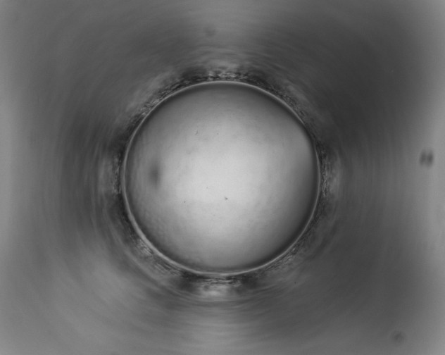 X0000114000661200910021317