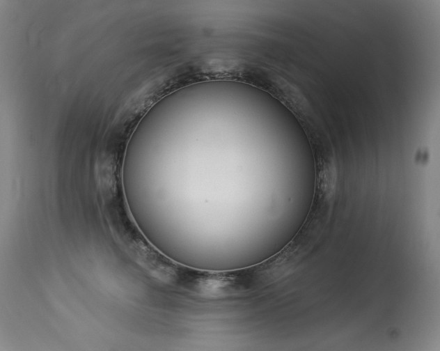 X0000114000662200910021317