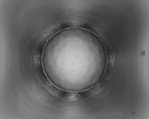 X0000114000663200910021317