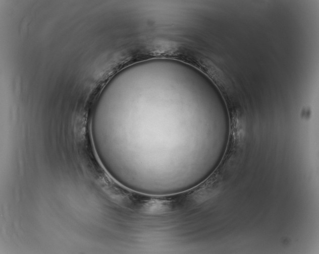 X0000114000664200910021317