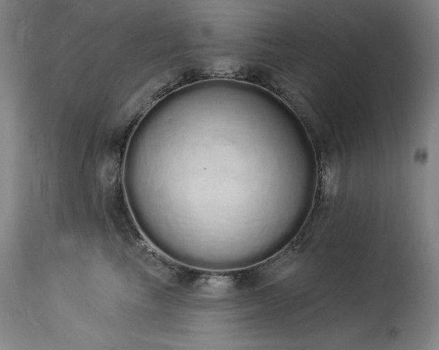 X0000114000665200910021317