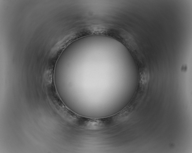 X0000114000666200910021317