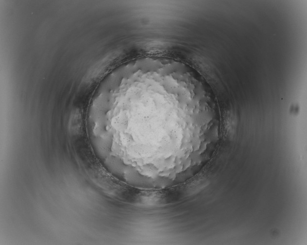 X0000114000667200910021317