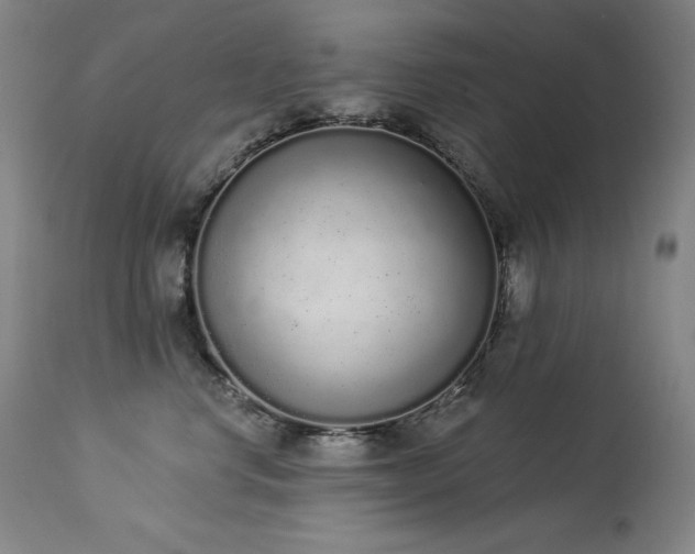 X0000114000668200910021317
