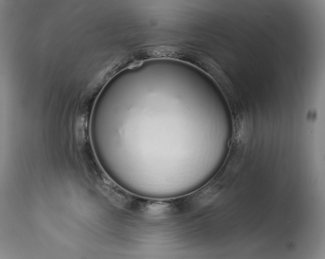 X0000114000669200910021317