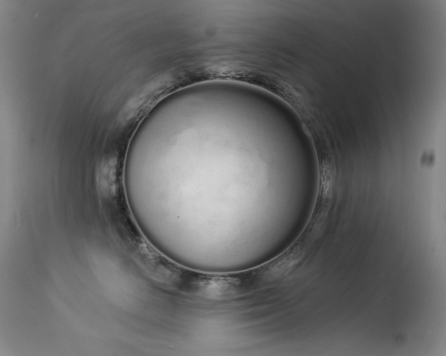 X0000114000670200910021317