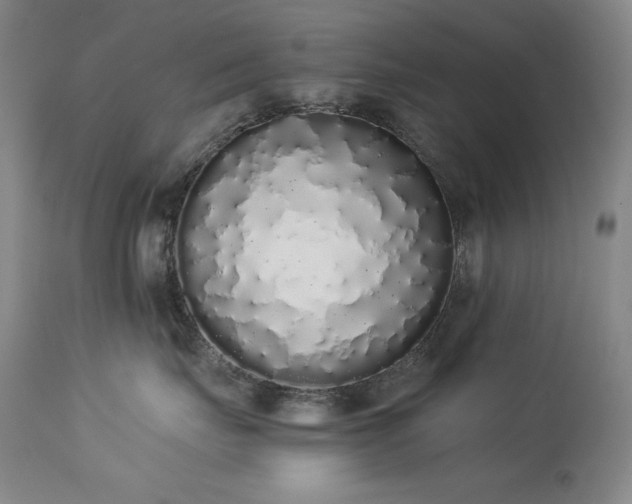 X0000114000671200910021317