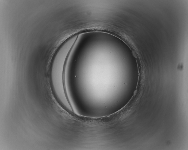 X0000114000673200910021316