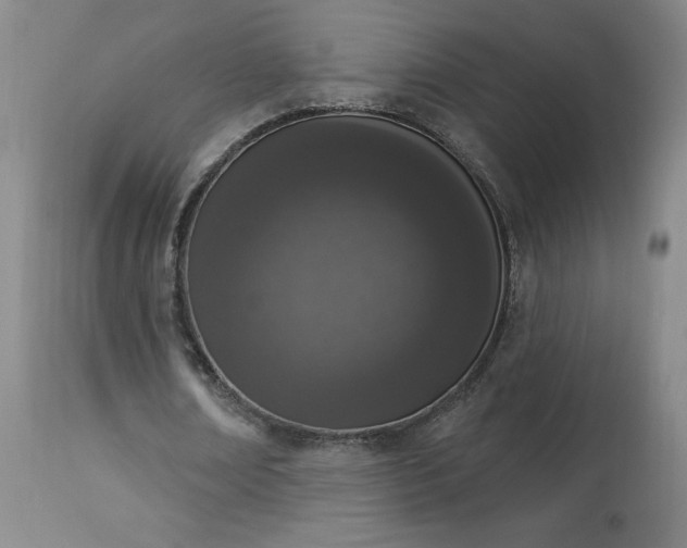 X0000114000674200910021316