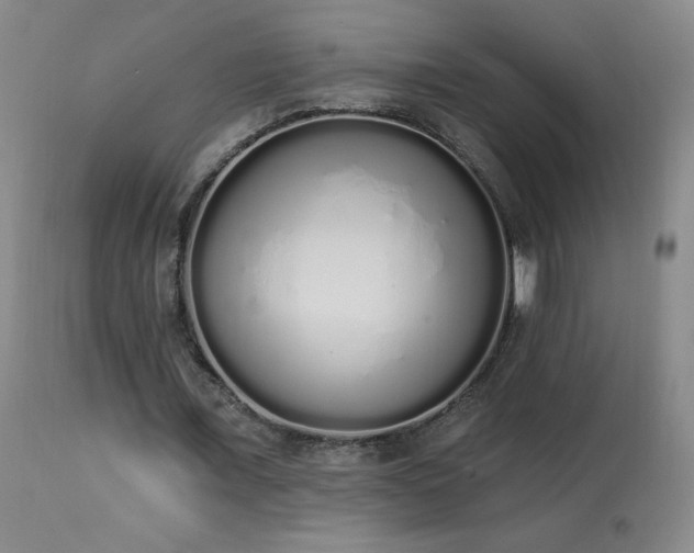 X0000114000675200910021316