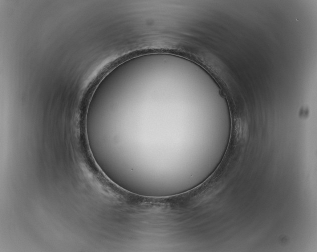 X0000114000676200910021316
