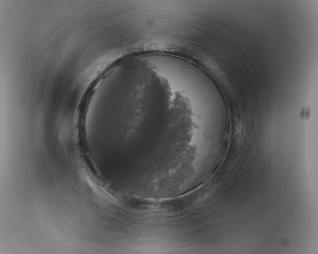 X0000114000678200910021316