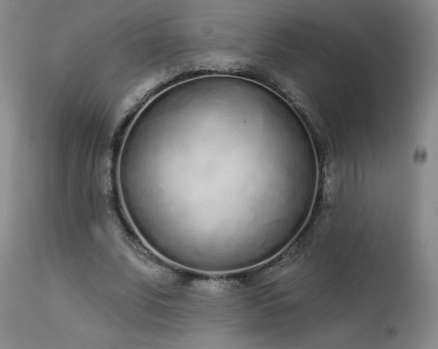 X0000114000679200910021316
