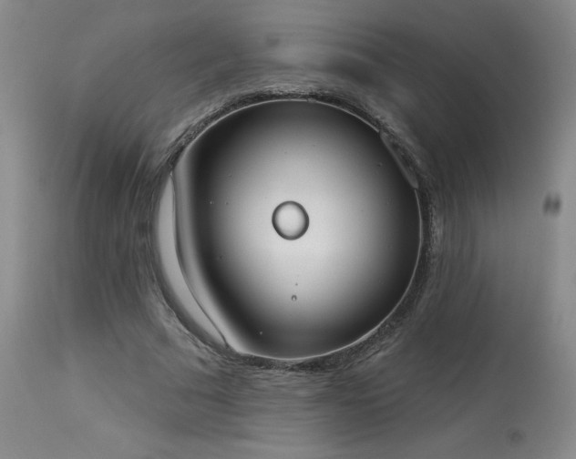 X0000114000681200910021316