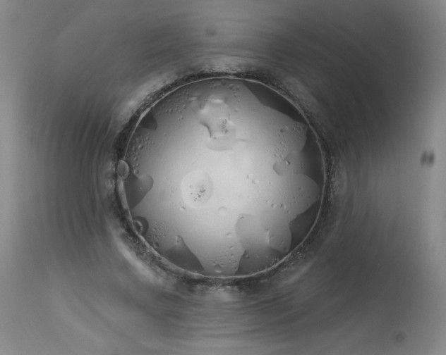 X0000114000683200910021316