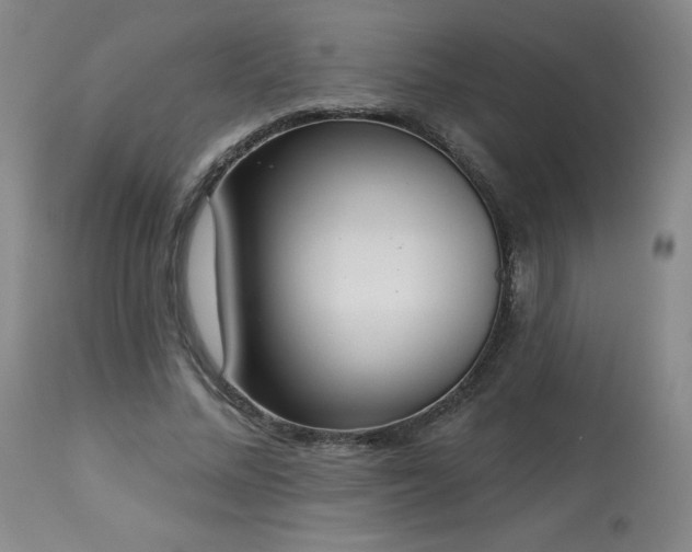 X0000114000684200910021316