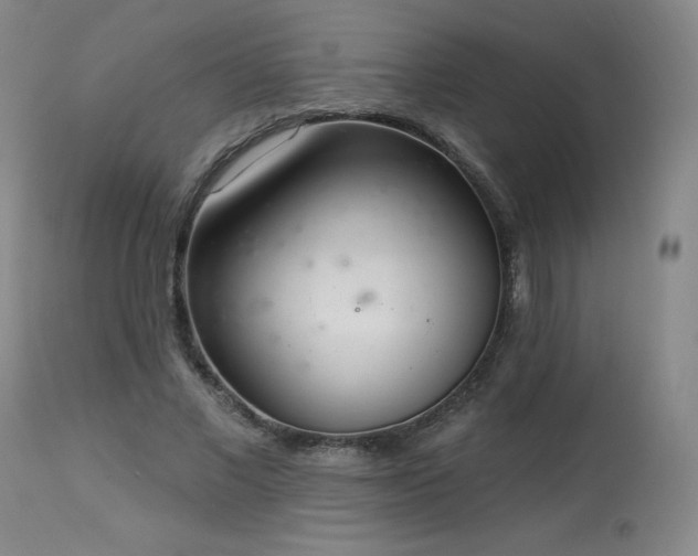 X0000114000685200910021316