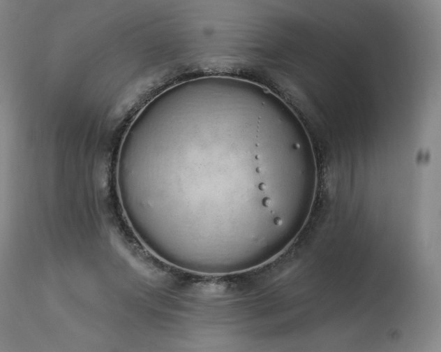 X0000114000687200910021316