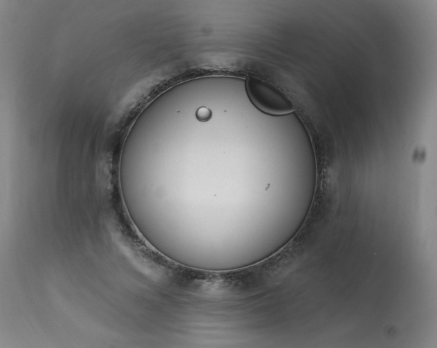 X0000114000688200910021316