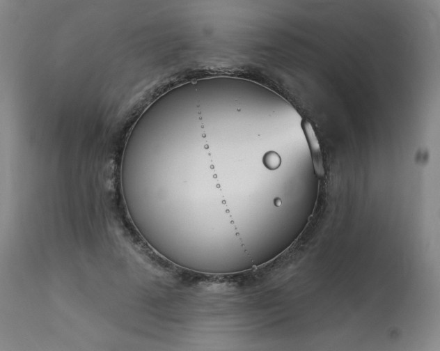 X0000114000689200910021316