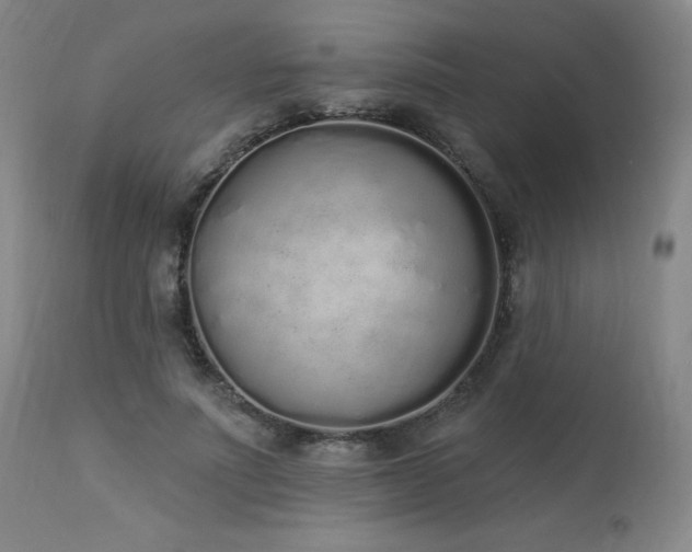 X0000114000691200910021316