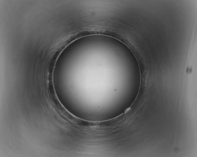 X0000114000692200910021316