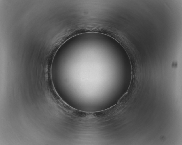 X0000114000696200910021316