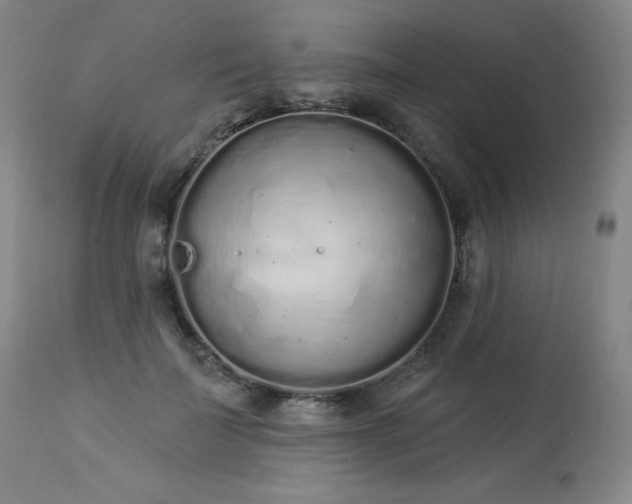 X0000114000699200910021316