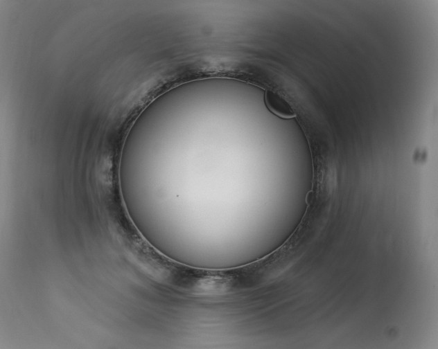 X0000114000700200910021316