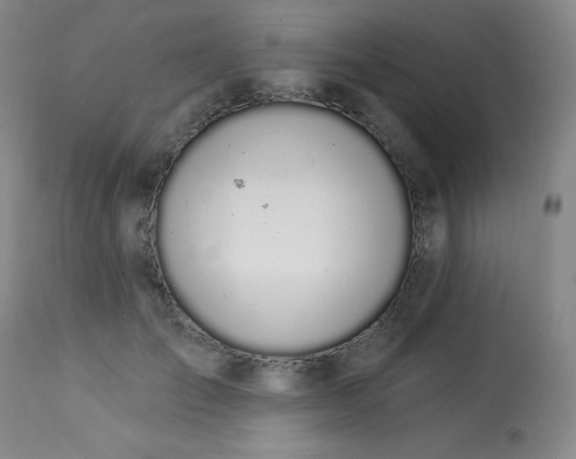 X0000114000701200910021316