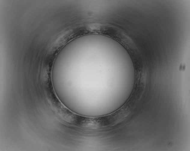 X0000114000702200910021316